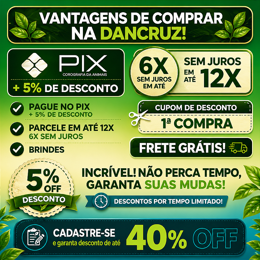Banner Extra 2 vitrine-destaque