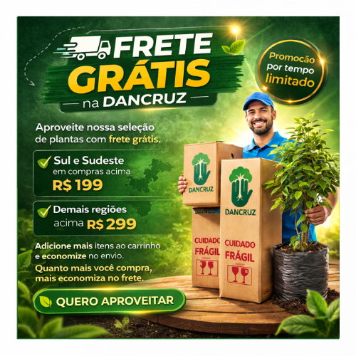 Banner vitrine vitrine-mini 3