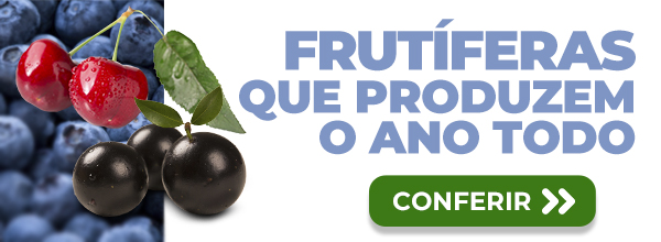 Banner Extra 2 vitrine-mas-vendido