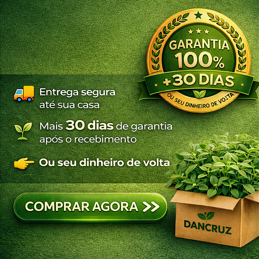 Banner Vitrine vitrine-mini 1