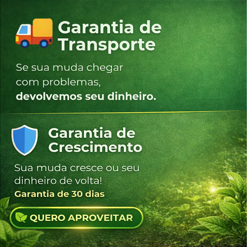 Banner Vitrine vitrine-mini 1