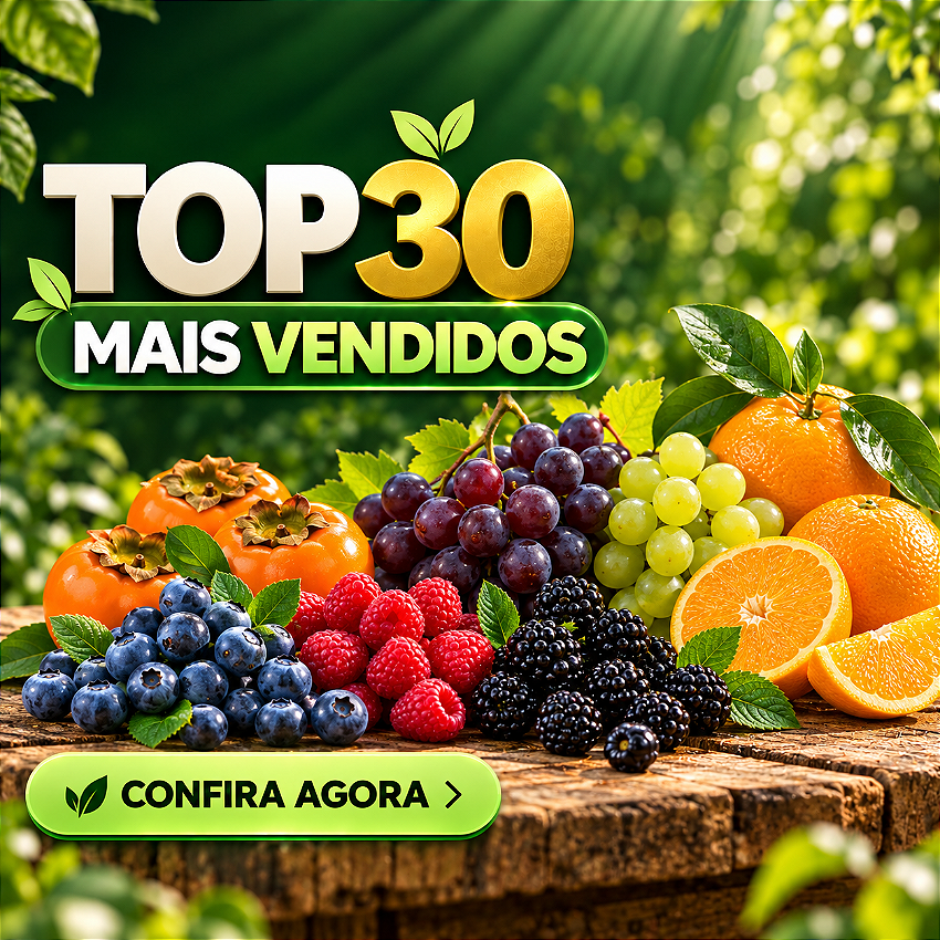 Banner Extra 2 vitrine-mas-vendido