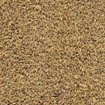 Categoria 8 vitrine-destaque