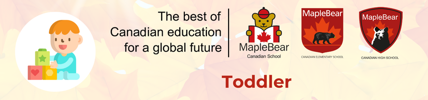 Maple Bear - Toddler