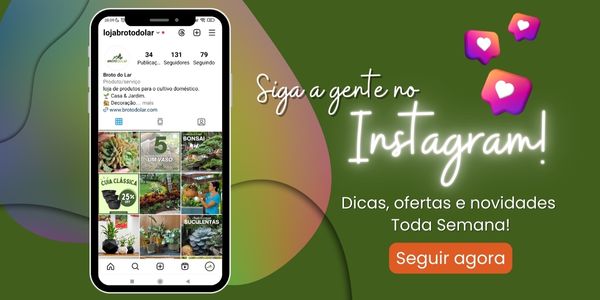 Banner Extra 4 vitrine-20243610