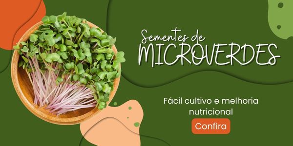 Banner Extra 3 vitrine-20243610