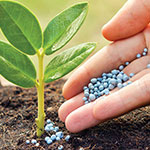 Banner Categoria 4 vitrine-20263870