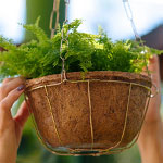 Banner Categoria 2 vitrine-20263870