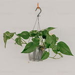 Banner Categoria 3 vitrine-20263870