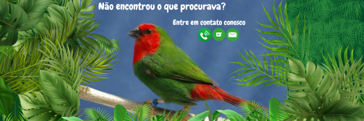 Fale conosco