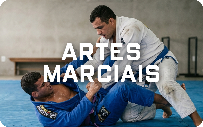 Mini Banner Artes Marciais vitrine-23886486