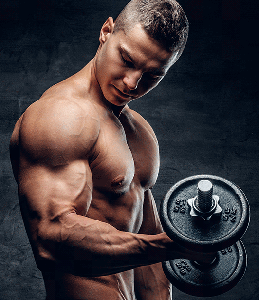 ZMA FENO GREGO 4WELL TESTO BOOSTER