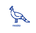 Faisão