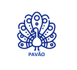 Pavão