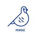 Perdiz
