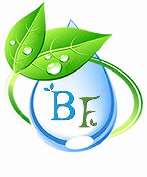 BASE FLORA
