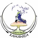 Logo de Tabacaria Xamânica