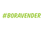 Boravender 3