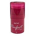 Contorno Stick Perfect Iamo YS43588 Cor 04