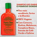 Shampoo Poderoso Segredo Divina Flora 250ml