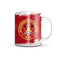 Caneca Bombeiro Profissional Civil