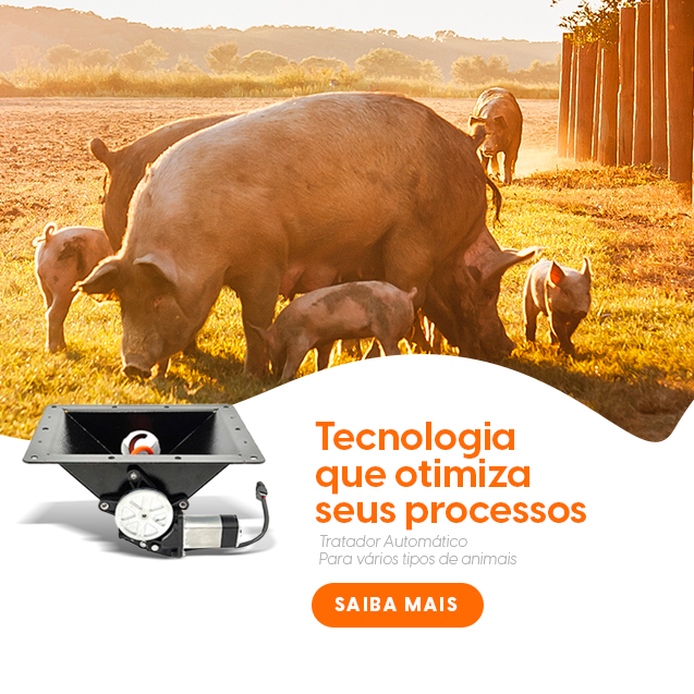 Texto alternativo para a imagem