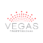 Vegas Professional