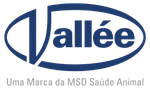 Vallée 