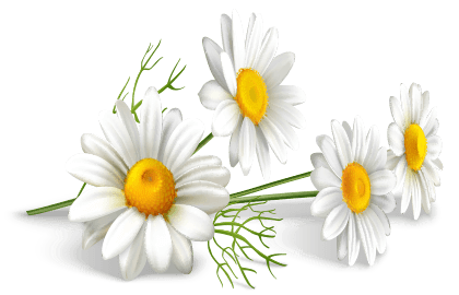 Ingredientes - Colic Calm - Remédio para cólicas em bebês mais vendido
