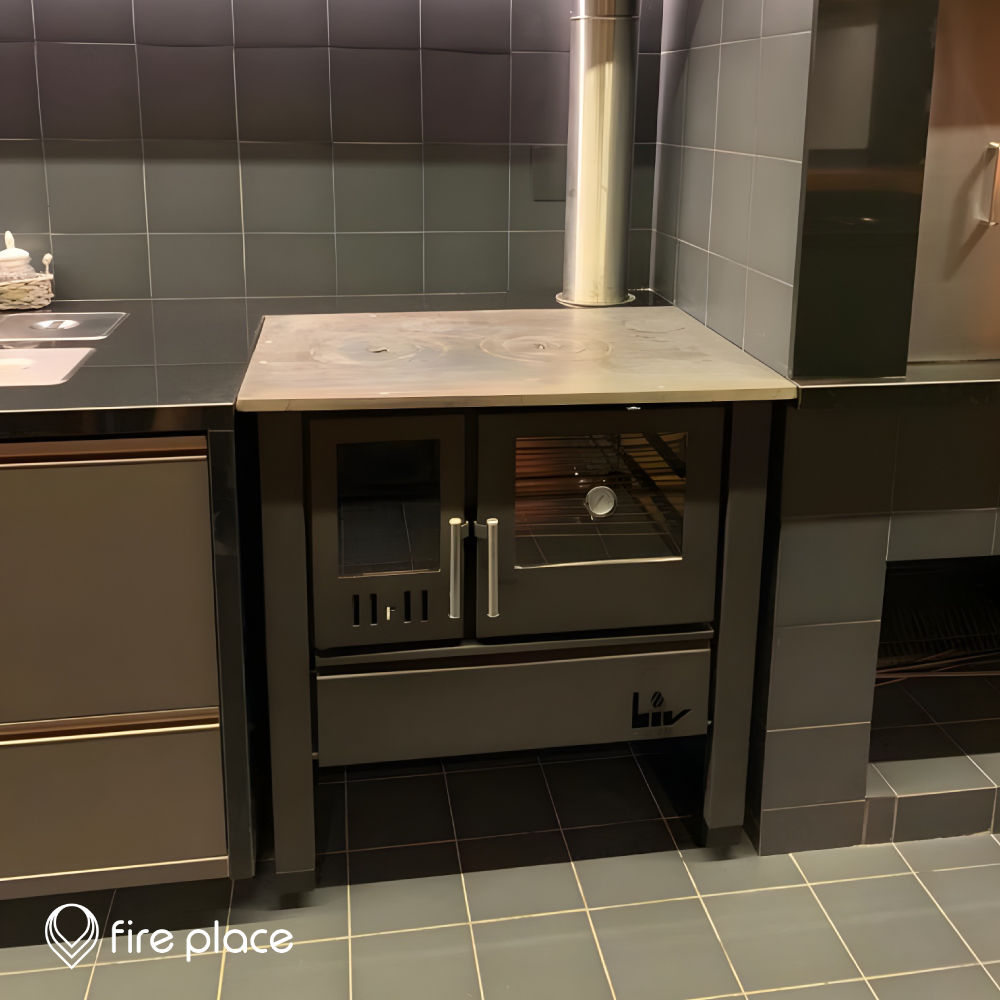 FOGÃO A LENHA DE DUPLA COMBUSTÃO FUSION LIV805 - Fire Place - Loja