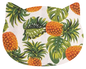 Abacaxi