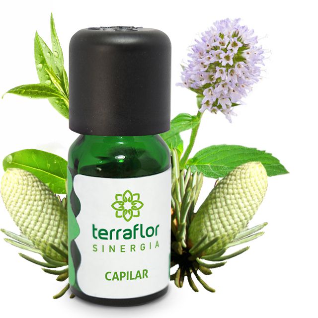 Seiva de Sangue de Dragão 10ml - Terraflor - Naturallice