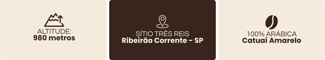 Teste