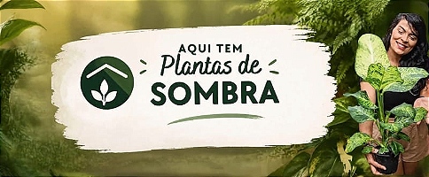 Planta de sobra