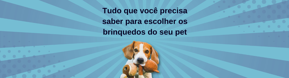 Tudo que você precisa saber para escolher os brinquedos do seu pet