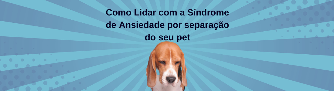 Como Lidar com a Síndrome de Ansiedade por separação do seu pet