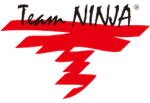 Team Ninja