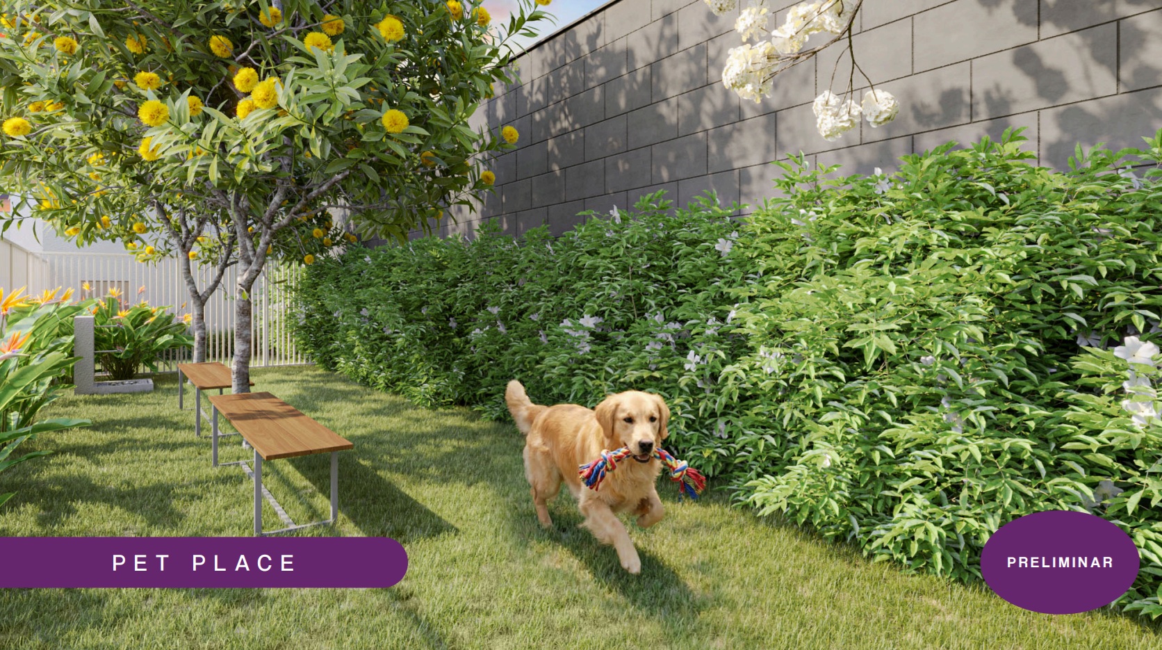 Pet Place Kazzas Santo Amaro