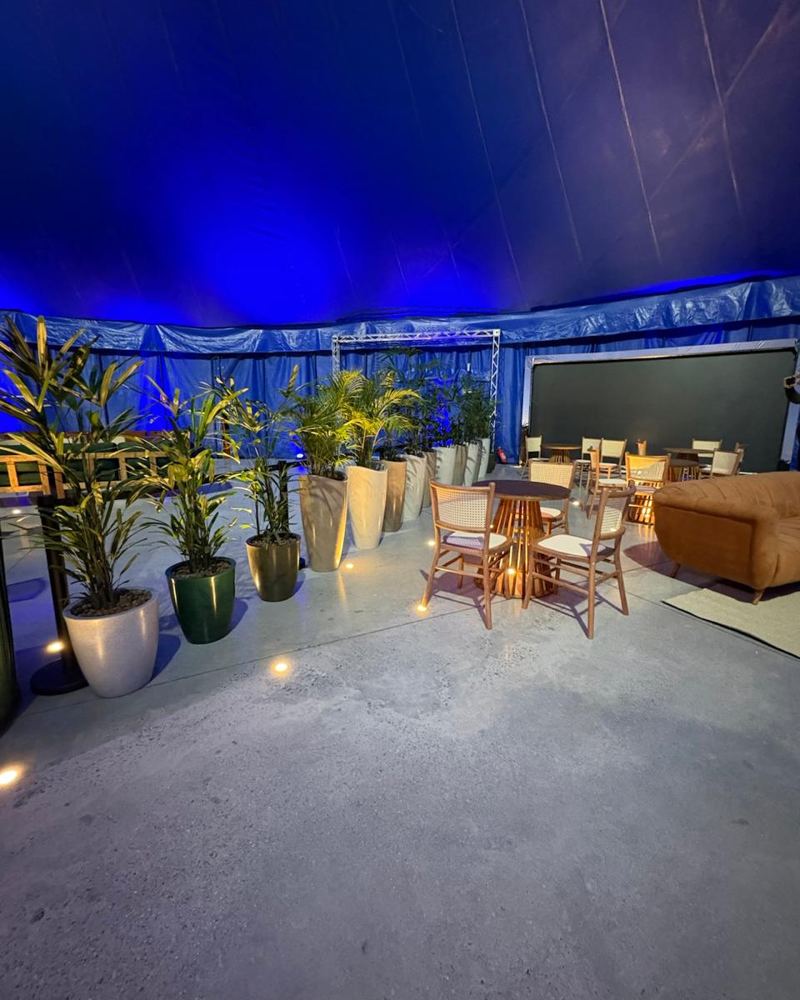Arranjos de plantas decorando um evento
