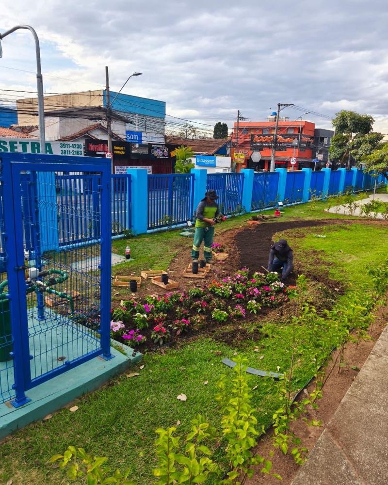 Canteiro de flores recém-plantado
