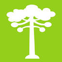 Logo de Souvenir Curitiba