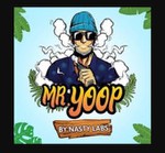 MR YOOP
