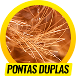 Pontas Duplas