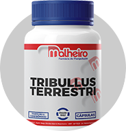 Tribullus