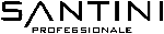 Santini