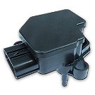 メシダ ASCII.jp：シチズン、メタセコイアの並⽊道をデザインしたペアモデル