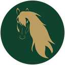 Logo de Shine Horse