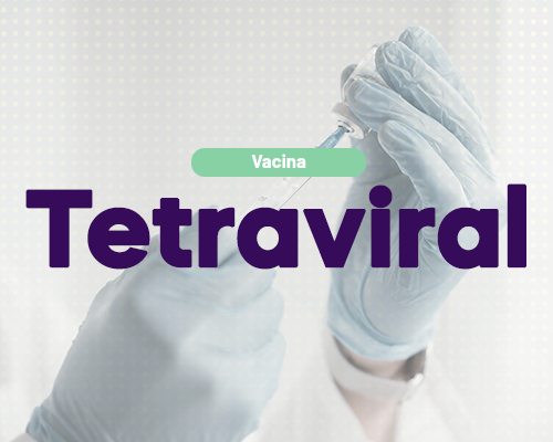 Vacinação Tetraviral na Farmácia Efetiva de Manipulação