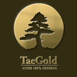 TAEGOLD