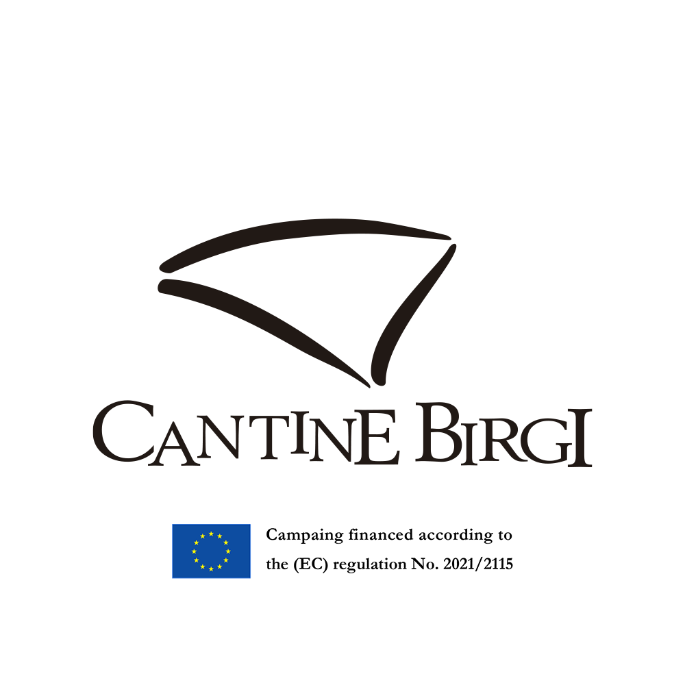 Logo Birgi